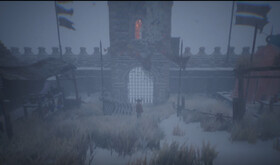 Video 1