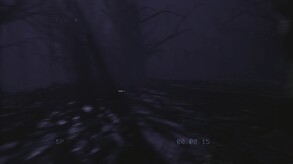 Video 2