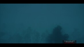 Video 8