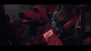 Video 5