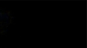 Video 5