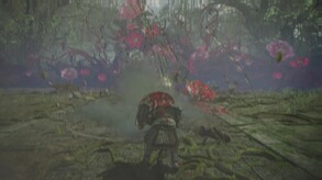 Video 2
