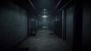 Video 1