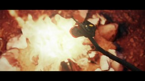Video 3