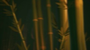 Video 2