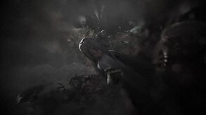 Video 3