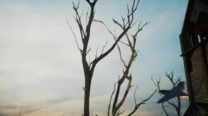 Video 4