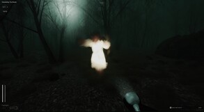 Video 2