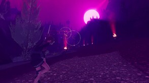 Video 2