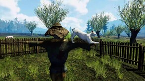 Video 6