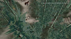 Video 3