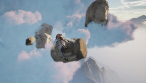 Video 1