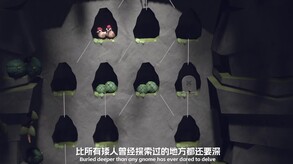 Video 6