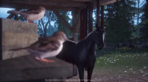 Video 1
