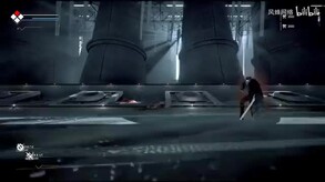 Video 1