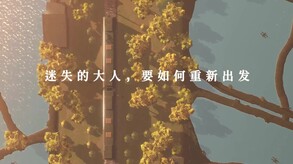 Video 6