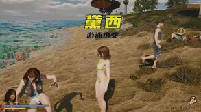 Video 1