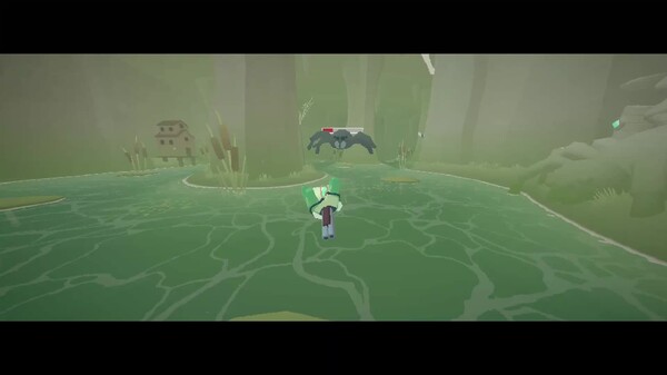 Video 1