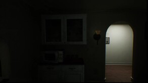 Video 2