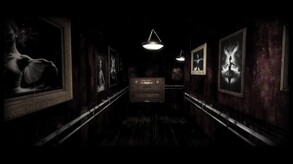Video 2