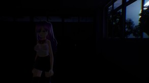 Video 2