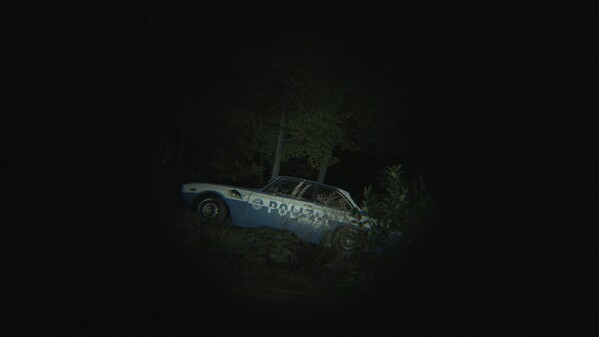 Video 2