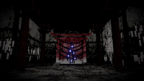 Video 6