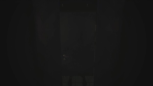 Video 1