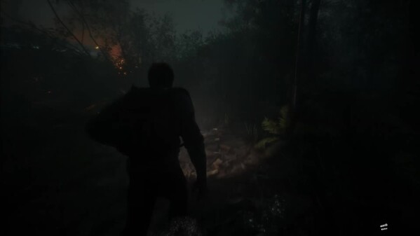 Video 1