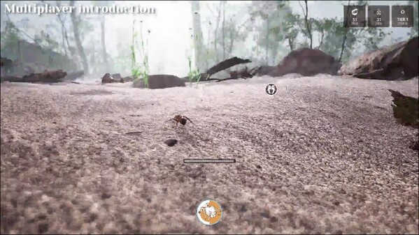 Video 4