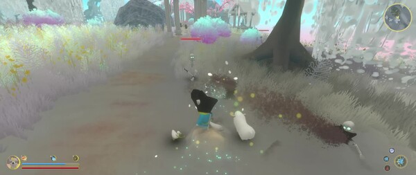 Video 5