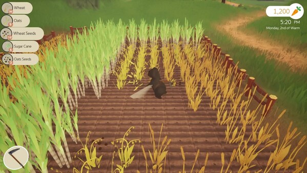 Video 1