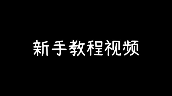 Video 2