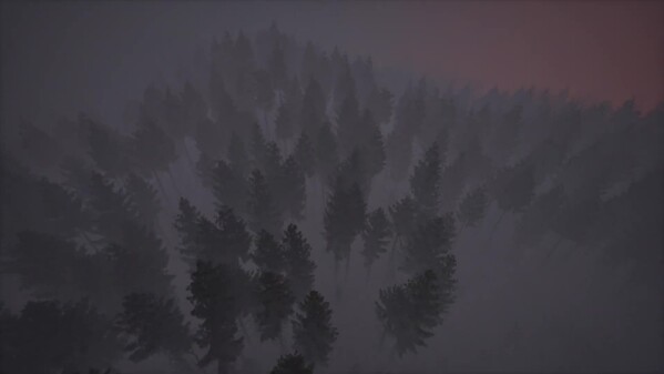 Video 3