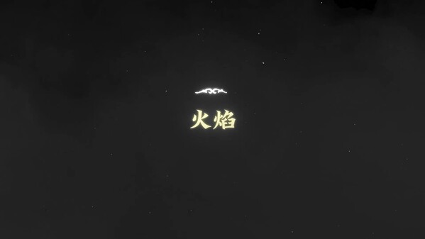 Video 5