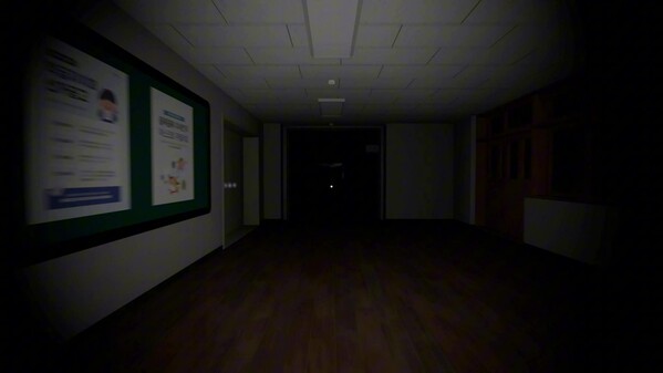 Video 1