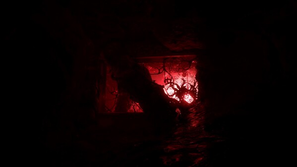 Video 2