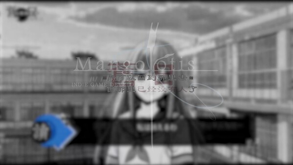 Video 2