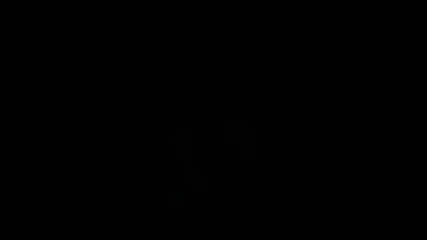Video 2