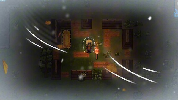 Video 5