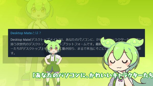 Video 12