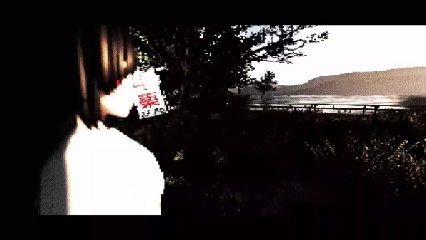 Video 1