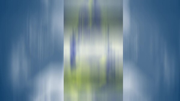 Video 2
