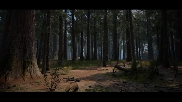Video 3