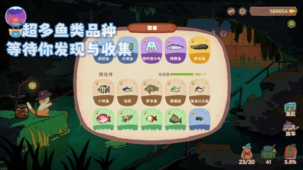 Video 5