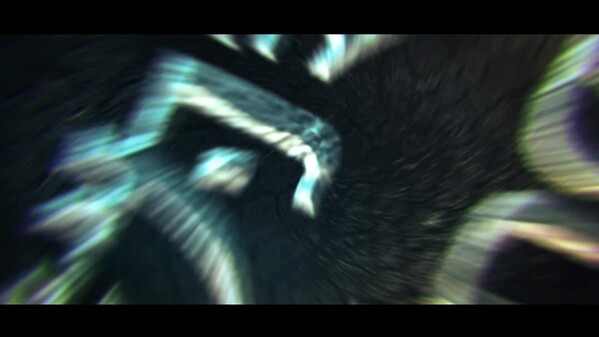 Video 1