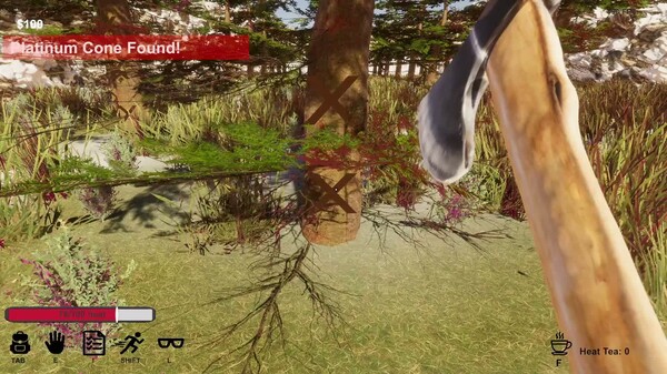 Video 1