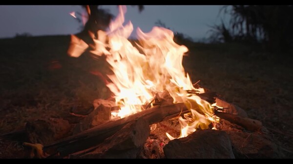 Video 3