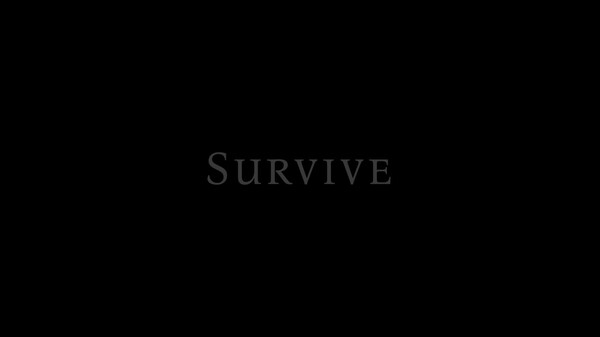 Video 2