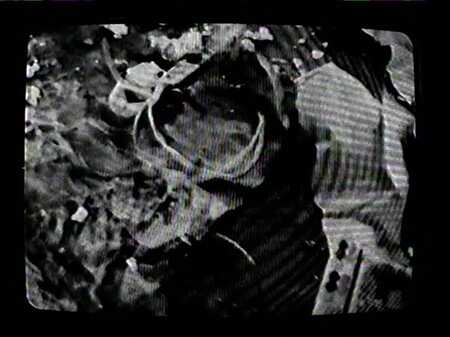 Video 2